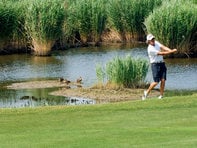 Golf-Region